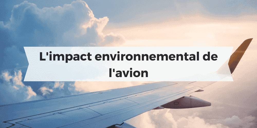 Impact environnemental de l'avion