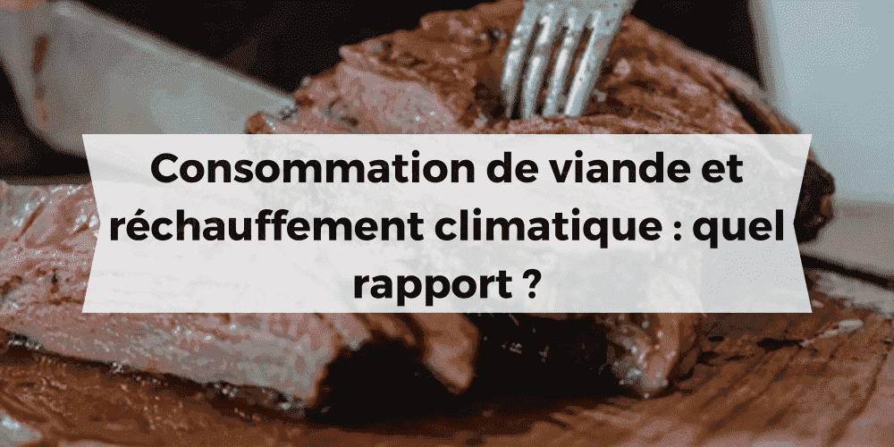 Impact environnemental consommation de viande