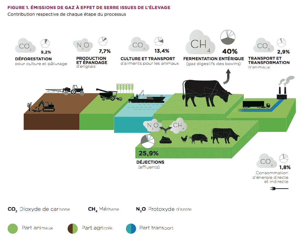 Emissions mondiales de gaz à effet de serre liées à l'élevage