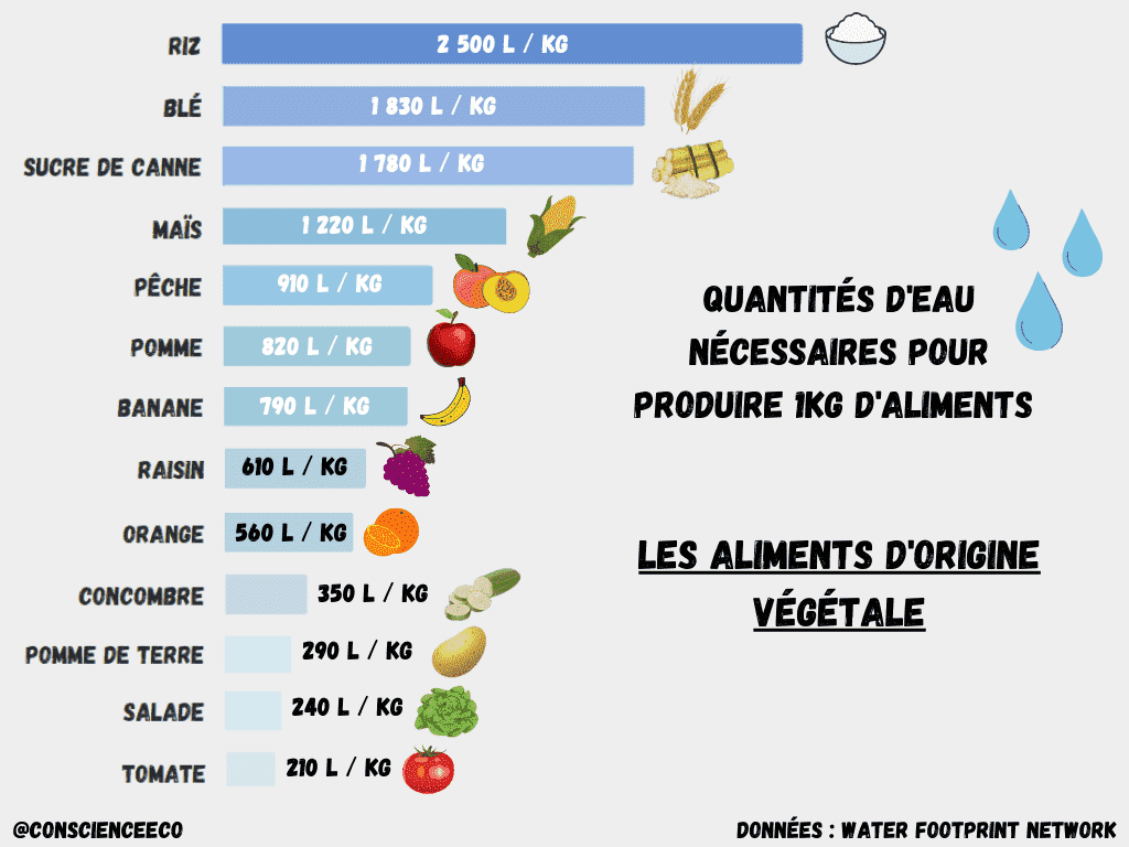 quantités d'eau pour la production d'un kg d'aliments d'origine végétale